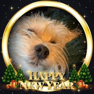 Meet your Posher, Lynette